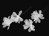 Monofilblumen für Hochzeitsdeko - 5 St./Packung Blumen, Federn
