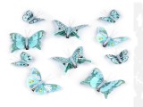 Dekoration Schmetterling 3D mit Clip - 10 St./Packung
