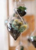 Terrarium Glasbehälter Vase hängend Tropfen  Dekorationen