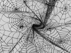 Organza Spinnennetz Dekorstoffe
