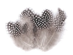 Hennenfedern - Grau Blumen, Federn